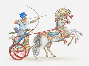 Ancient Egyptian Culture Gallery: Illustration of ancient Egyptian archer on chariot
