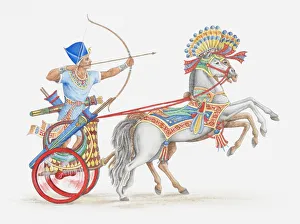 Ancient Egyptian Culture Gallery: Illustration of ancient Egyptian archer on chariot