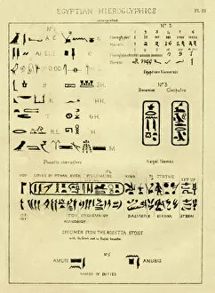 Rosetta Stone Collection: Palaeography Egyptian hieroglyphics interpreted