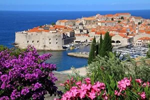 Town Gallery: View of Old Town City of Dubrovnik