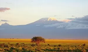 Illustration Collection: Mount Kilimanjaro Sunset