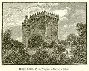 Blarney Collection: Blarney Castle (engraving)