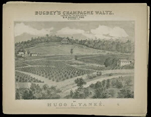 Fences Collection: Bugbeys Champagne Waltz, 1871 (print)