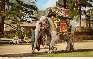Enjoying Gallery: Children enjoying a ride on Rosie the elephant, Bristol Zoo (photo)