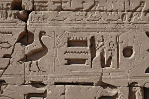Hieroglyph Collection: The God AMON, water and life (relief)