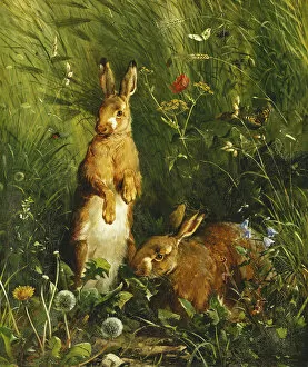 Hares, 1878 (oil on canvas)
