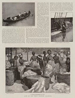 Enjoying Gallery: Life in our West African Colonies (engraving)