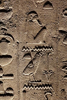 Hieroglyph Collection: Luxor Temple: Hieroglyphs (relief)