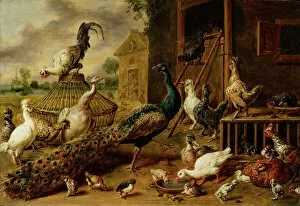 Flemish Gallery: Poultry Farm, 1650 (oil on wood)