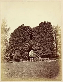 Pavilion Collection: View of a folly in Roundhay Park (albumen print)