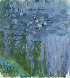 Weeping Willow Collection: Waterlilies, 1916-19 (oil on canvas)