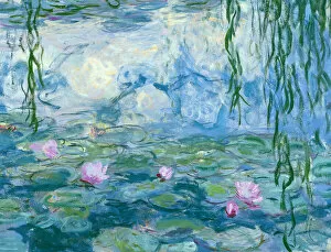 Weeping Willow Collection: Waterlilies, 1916-19 (oil on canvas) (detail of 161015)