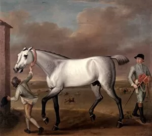 The Duke of Hamiltons Grey Racehorse, Victorious, at Newmarket signed