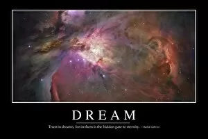Vibrant Gallery: Dream: Inspirational Quote and Motivational Poster