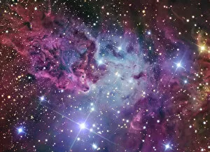 Vibrant Gallery: The Fox Fur Nebula