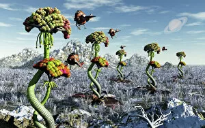 Wildflower Collection: A futuristic alien plant harvest