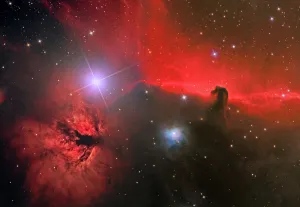 Vibrant Gallery: The Horsehead Nebula in the constellation Orion