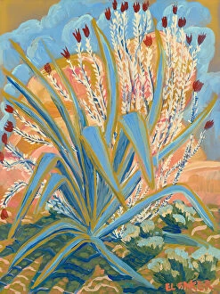 Agave Plant Print