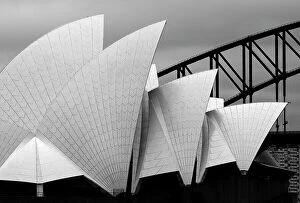 Dragon Collection: Opera house Sydney