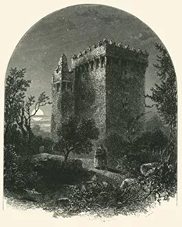 Blarney Collection: Blarney Castle, c1870