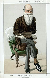 Seated Collection: Charles Darwin, English naturalist, 1871
