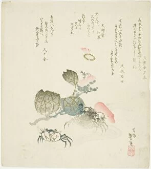 Two crabs by a spray of camellia, Japan, late 1820s-early 1830s