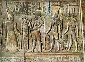 Kom Ombo Collection: Hieroglyphic relief, Temple of Kom Ombo, Egypt, 20th Century