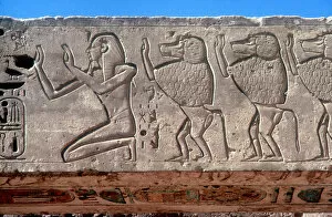 Ancient Egyptian Architecture Gallery: Relief of Rameses III and sacred baboons, Mortuary Temple, Medinat Habu, Egypt, c12th century BC