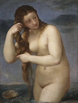Pleasure Collection: Venus Rising from the Sea (Venus Anadyomene), 1520