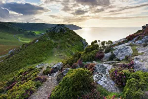 Valley Of The Rocks Collection: CJO0641822