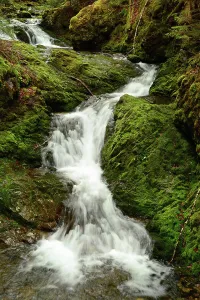 Refreshing Gallery: Dickson Falls Waterfalls Cascades Scenic Views