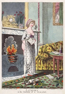 Fire Collection: Luxury, or the Comforts of a Rum p ford. After an etching by Charles Williams dated circa 1801