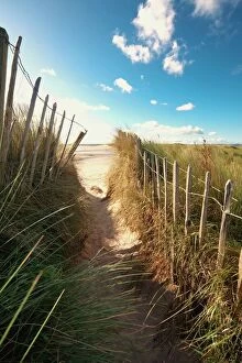Fences Collection: Pathway To The Beach, Beadnell, Northumberland, England