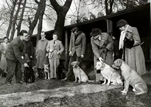 Men And Women Collection: Mr Fred Lee of Sheffield has set up a Dog School where owners